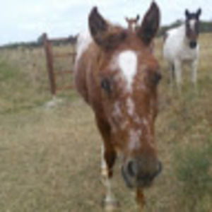 Meet your Posher, Axle